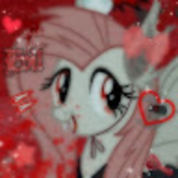 Meet your Posher, Sammy - Picture 1 of 1